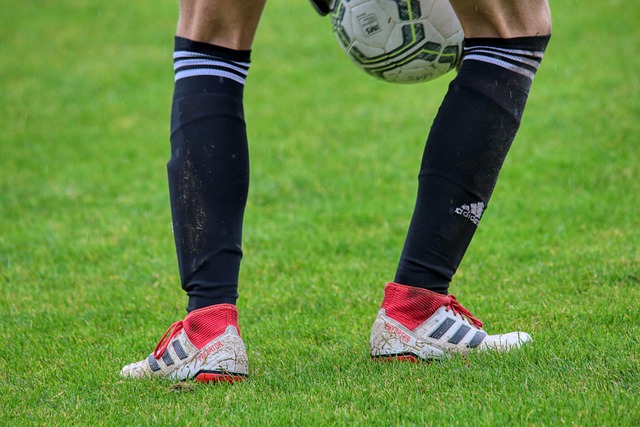 西蒙尼：我很欣赏拉菲尼亚，他和佩德里的复出让巴萨如虎添翼