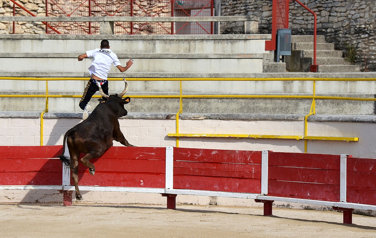 阿森纳3-1拜仁，廷贝尔、马杜埃凯、马丁内利破门，诺伊尔送礼