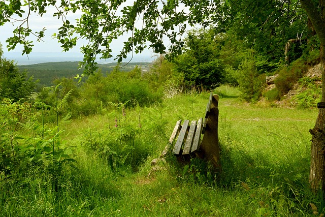 中创造大量 中创造大量