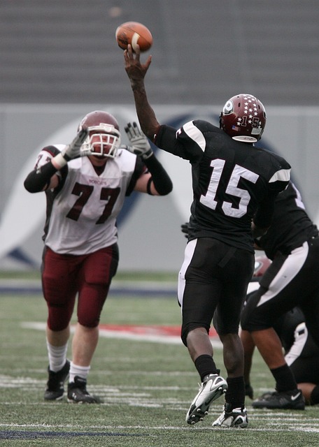 不仅取得了 不仅取得了