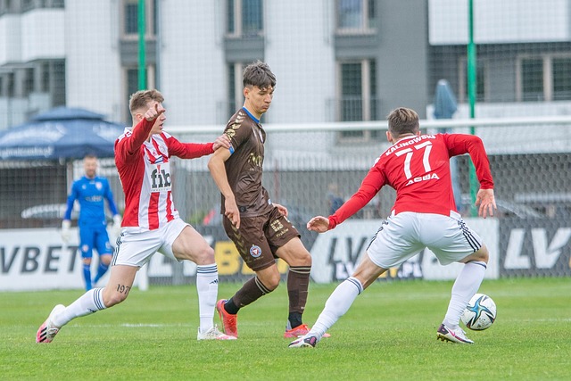 各样的观点 各样的观点