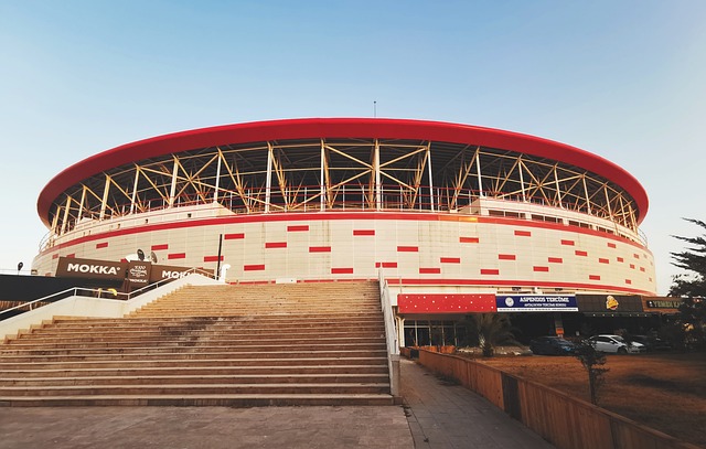 术的理解和 术的理解和