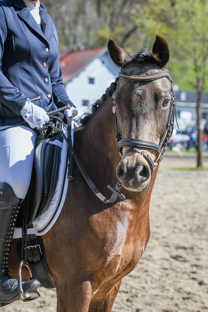 歐洲杯冠軍 歐洲杯冠軍
